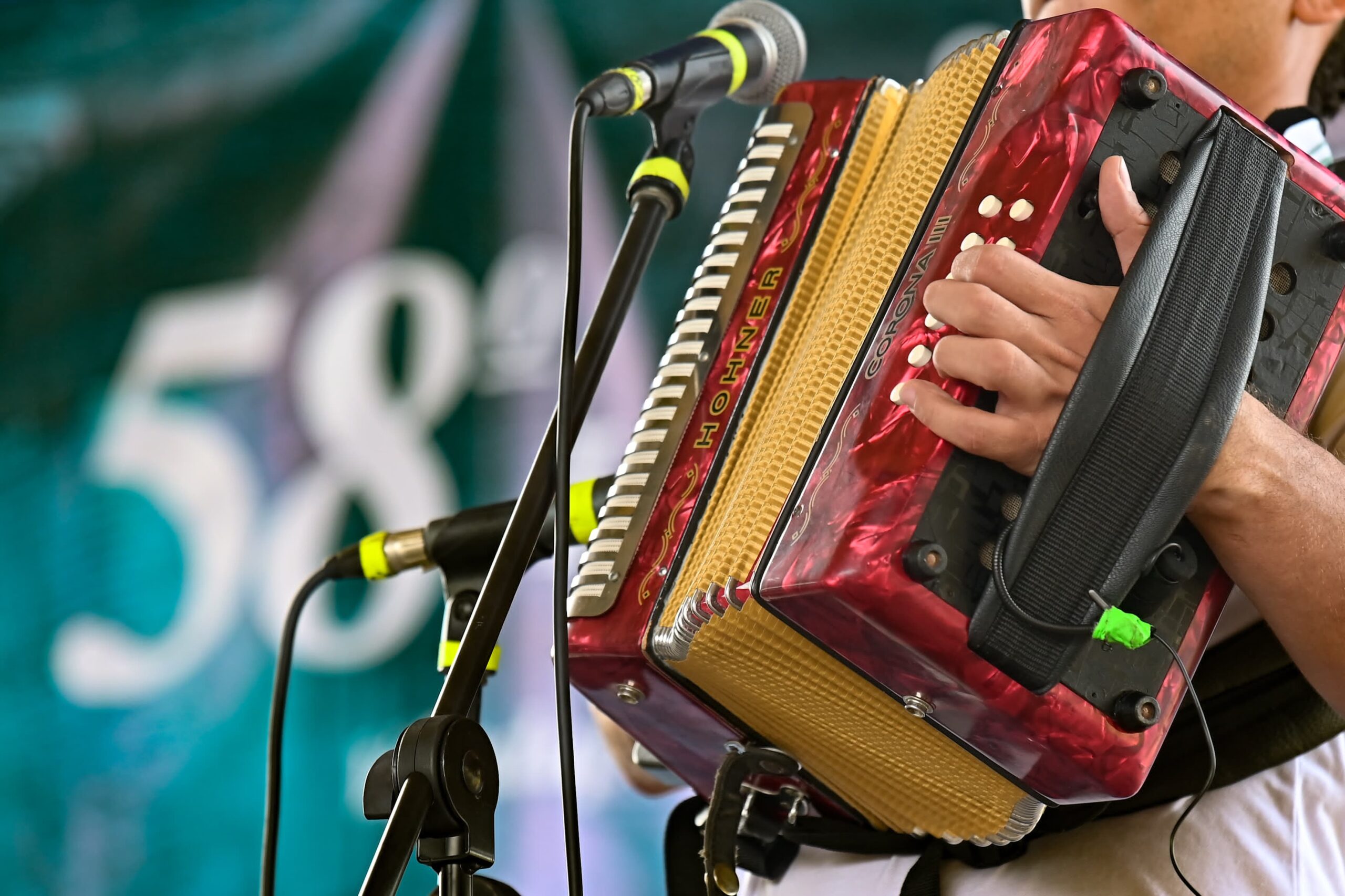 Seis finalistas en la categoría de Acordeón Profesional